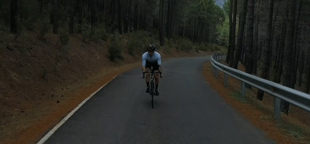 rec bison media madrid